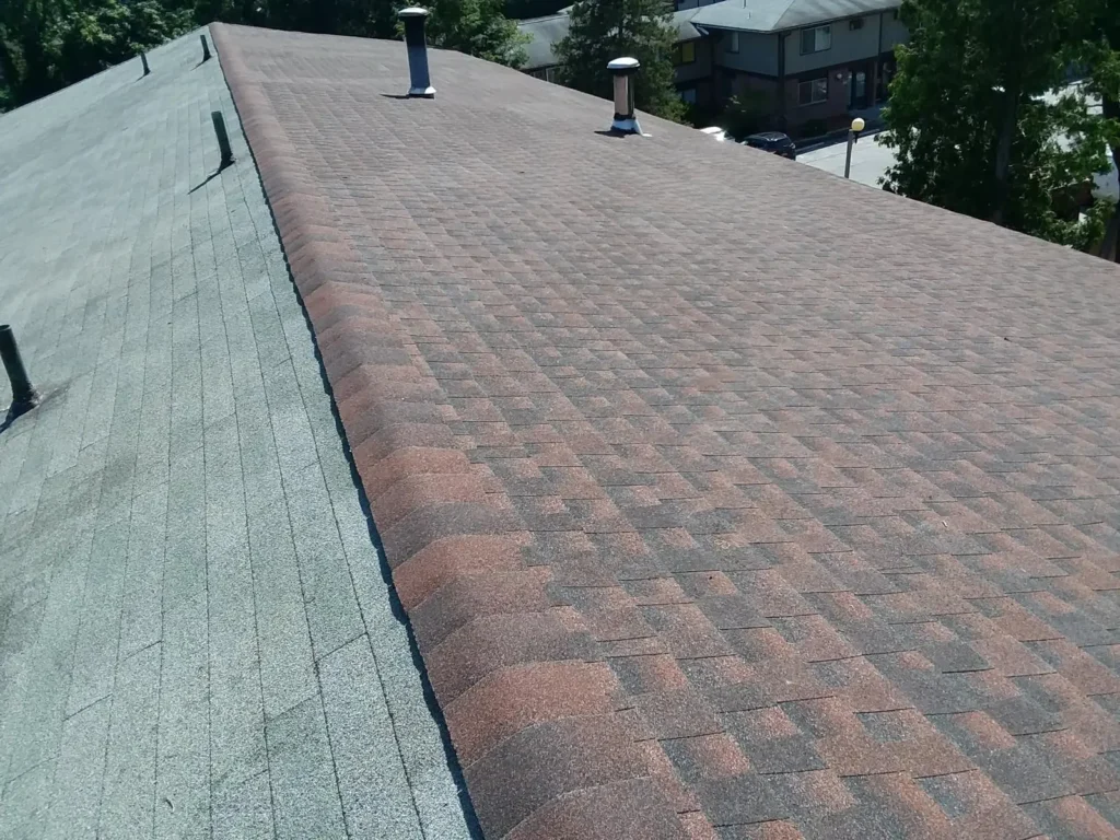 What to Do When Your Roof Starts Leaking